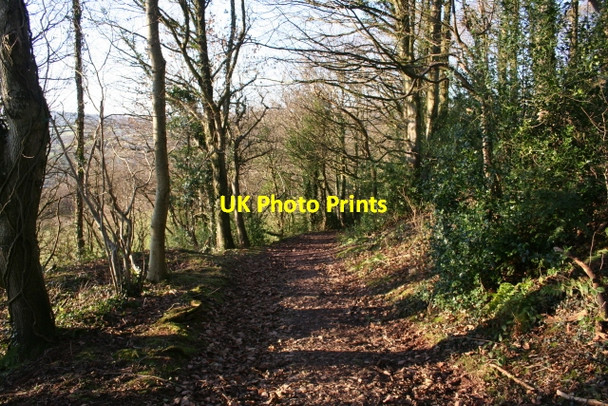 Photo 6"x4" Down The Green Lane Battle\/SO0030 c2008