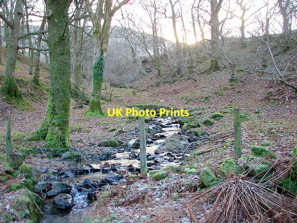 Photo 6"x4" A tributary of Afon Llinau Cwm-Llinau c2008