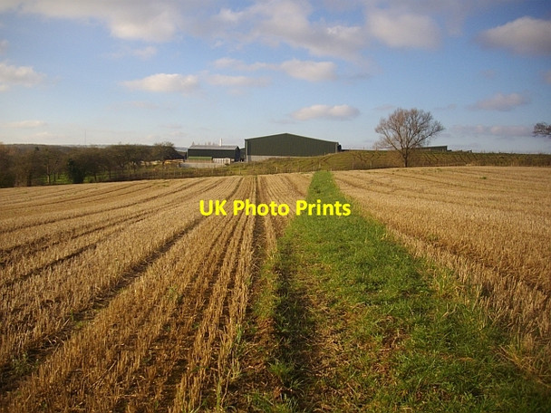 Photo 6"x4" The Poet's Path to Rosehill Hallwood Green c2008