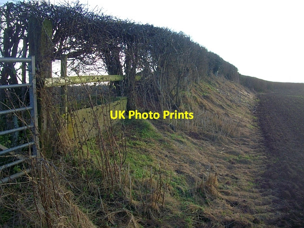 Photo 6"x4" Field boundary Donnington\/SO7033 c2008