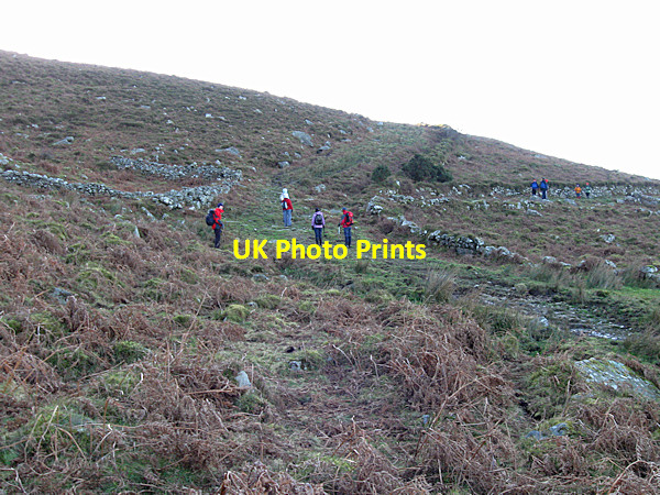 Photo 6"x4" Old Trackways Ballymurphy c2008