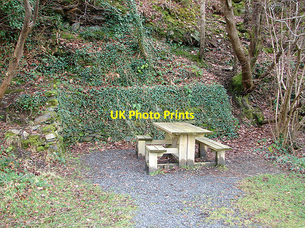 Photo 6"x4" Picnic table beside Abergwynant Woods Bontddu c2008