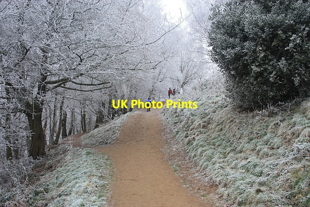 Photo 6"x4" Path splits, Black Hill Brand Green\/SO7641 c2009