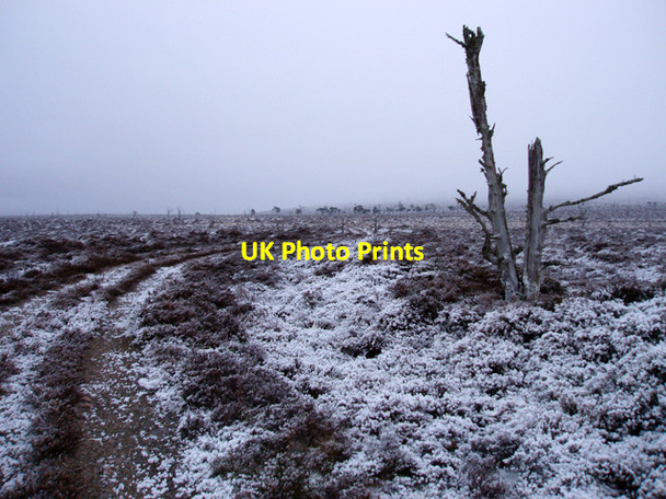 Photo 6"x4" Low Cloud on Moorland Sluggan c2009