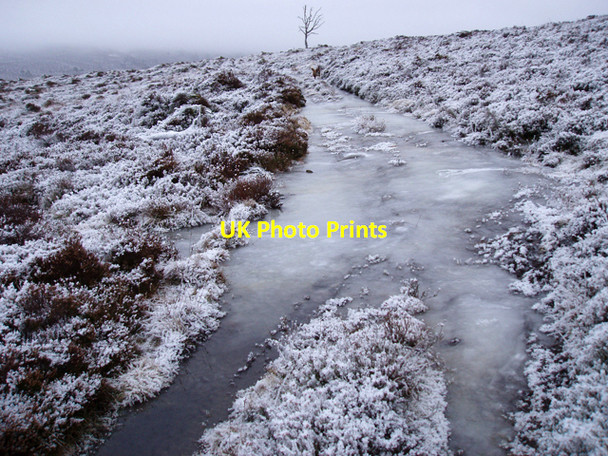 Photo 6"x4" Icy Track Sluggan c2009