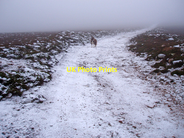Photo 6"x4" Track on Sidhean Ruighe Sheumais Carn Sleamhuinn c2009