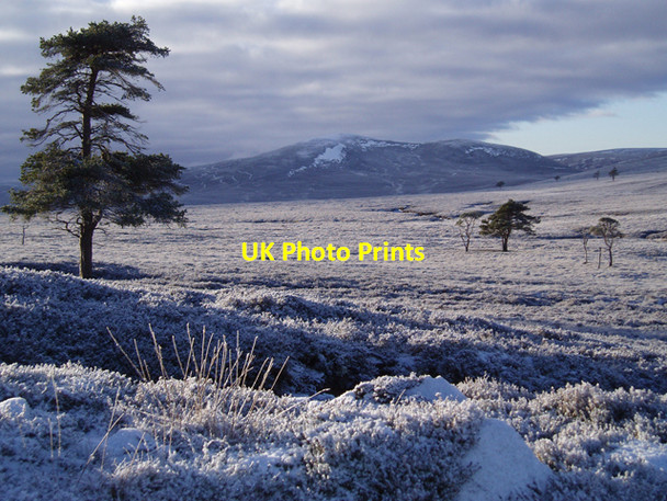 Photo 6"x4" Moorland Near Carn Sleamhuinn Carn Sleamhuinn c2009