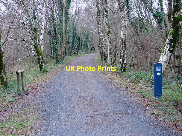 Photo 6"x4" RSPB site at Arthog Bog Barmouth\/Abermaw c2008