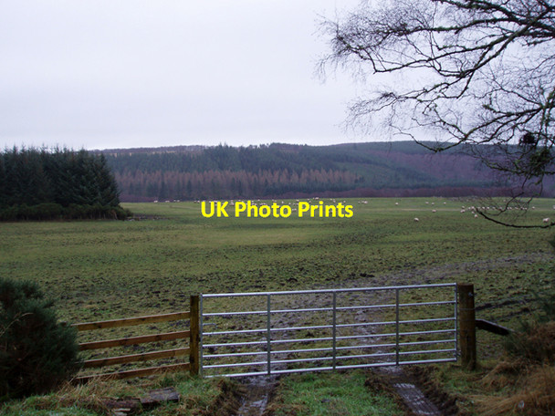Photo 6"x4" Grass Field near Kronyhillock Littlemill\/NH9150 c2009