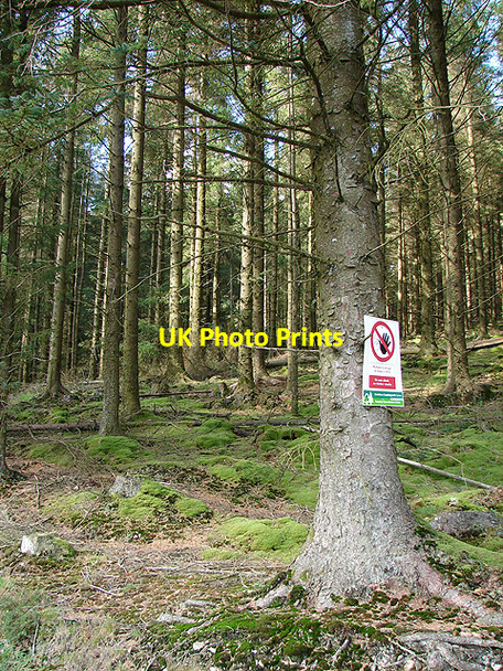 Photo 6"x4" Forestry warning sign at Craignant mawr Llywernog c2008