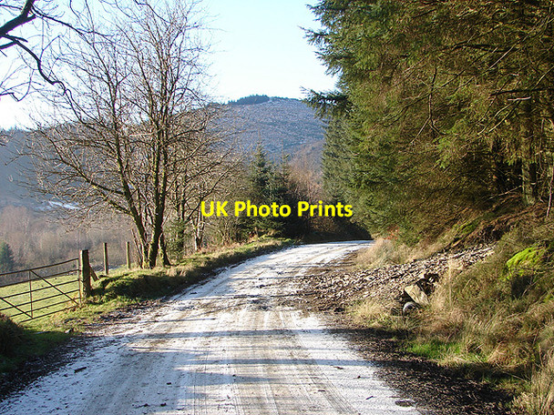 Photo 6"x4" Road into Hafren Forest Tynyrwtra\/SN8885 c2009