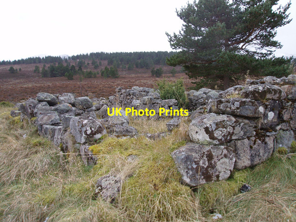 Photo 6"x4" Ruin at Easter Rynerrick Tulloch\/NH9816 c2009