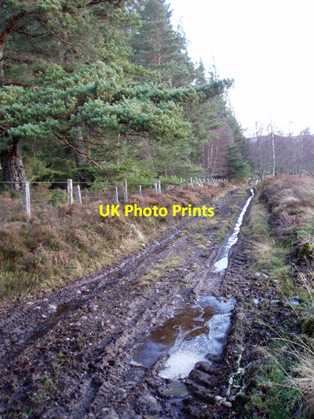 Photo 6"x4" Track near Dusach Relugas c2009