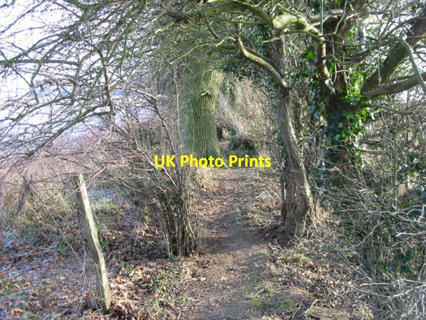 Photo 6"x4" Footpath on Kelk Hill Chillenden c2009
