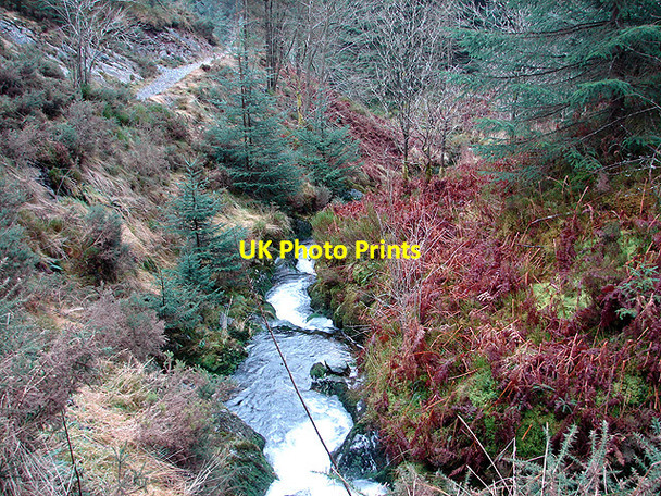 Photo 6"x4" The River Severn Carn Biga c2009