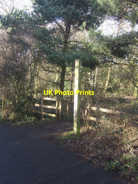 Photo 6"x4" Beacon Way in the Sandwell Valley Country Park West Bromwich c2009