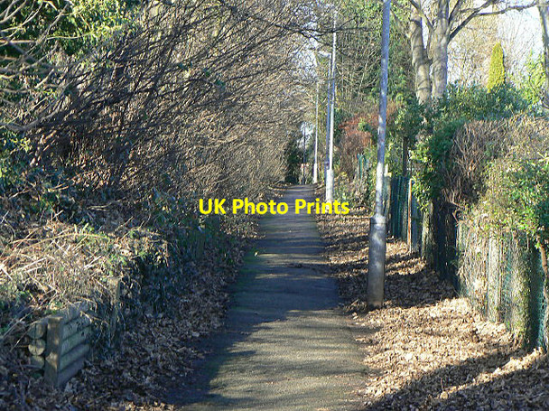 Photo 6"x4" Footpath to Wood Lane Carlton\/SK6041 c2009