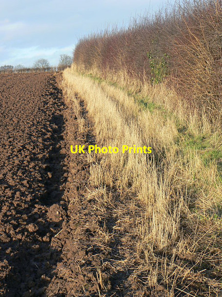 Photo 6"x4" Hedge and headland Arnold\/SK5945 c2009