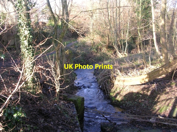 Photo 6"x4" Woodland Stream - Easterly Road Hollin Park\/SE3336 c2009