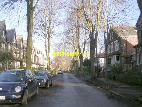 Photo 6"x4" Oakwood Drive - Oakwood Boundary Road Leeds\/SE3034 c2009