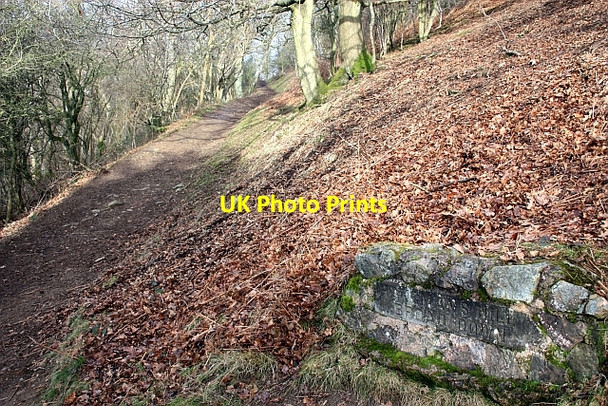 Photo 6"x4" Path to Clutter's Cave Little Malvern c2009