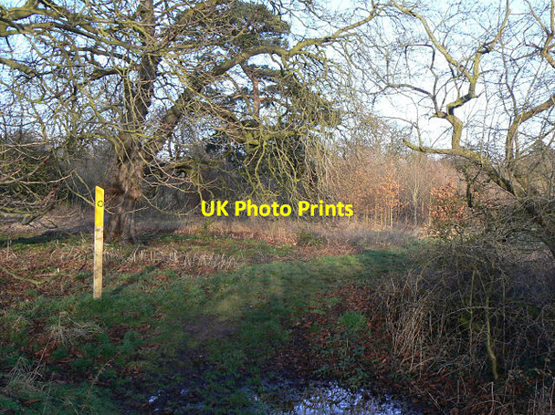 Photo 6"x4" Footpath through Croft Glebe Croft\/SP5195 c2009