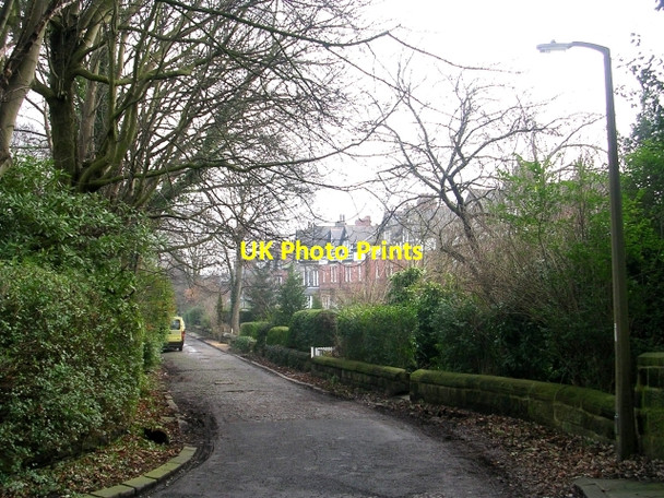 Photo 6"x4" Claremont Drive - Shaw Lane Leeds\/SE3034 c2009