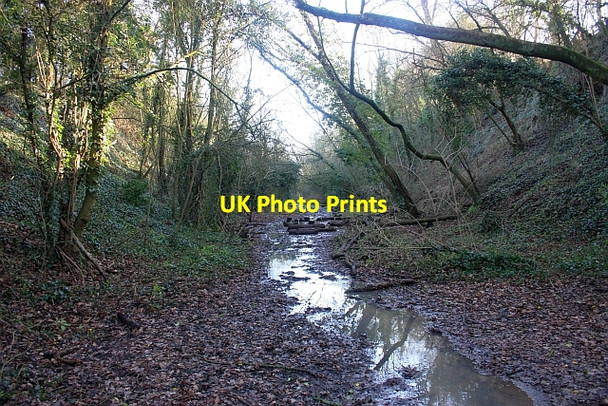 Photo 6"x4" Bed of the old railway to Upton The Hyde\/SO8340 c2009