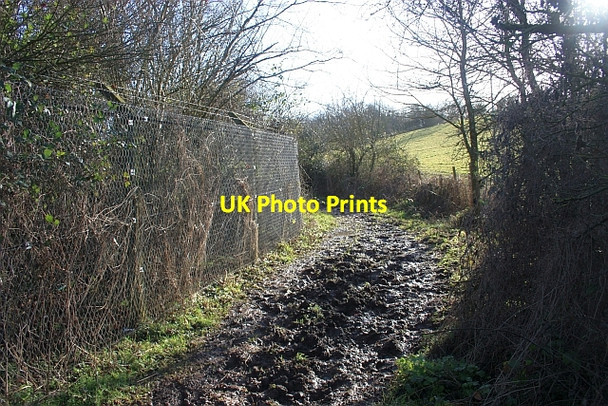 Photo 6"x4" Cut Throat Lane Tunnel Hill\/SO8440 c2009