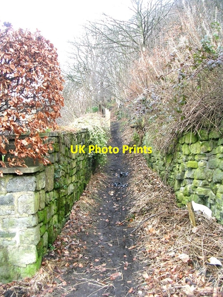 Photo 6"x4" Footpath - Bankfoot Hebden Bridge c2009