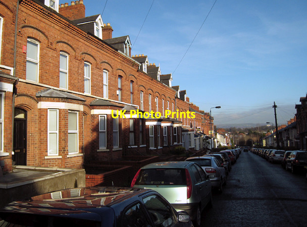 Photo 6"x4" Stranmillis Gardens, Belfast Belfast c2009