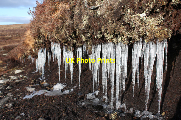 Photo 6"x4" Icicles beside track Carn an t-Sean-liathanaich c2009