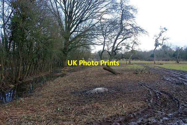 Photo 6"x4" Old Orchard Church End\/SO8341 c2009