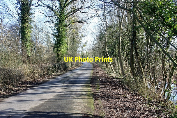 Photo 6"x4" The road to the castle at Hanley Church End\/SO8341 c2009