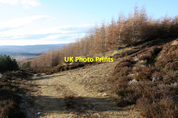 Photo 6"x4" Track Junction Ruthven\/NH8133 c2009