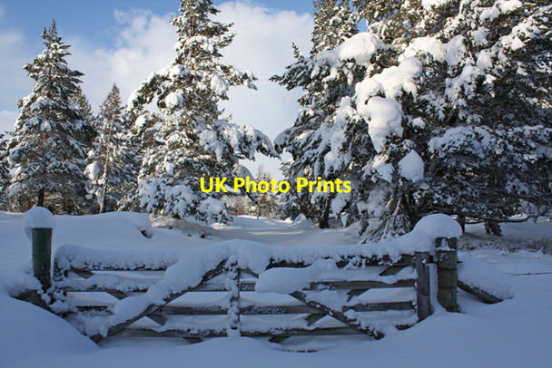 Photo 6"x4" Gate on General Wade's Road Sluggan c2009