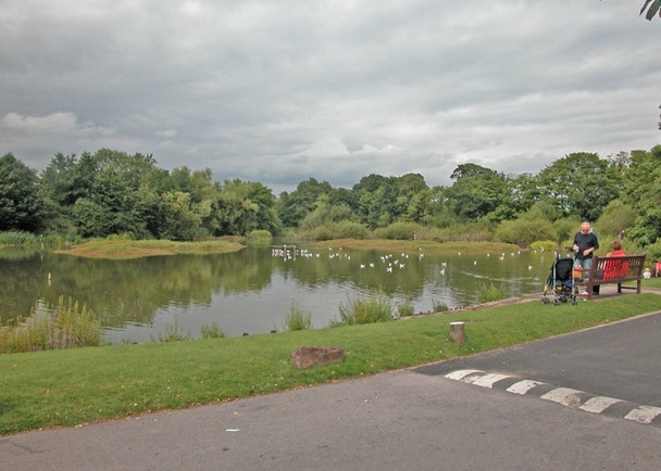Photo 6"x4" Christleton Pond Christleton c2005