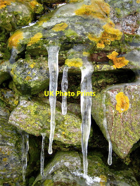 Photo 6"x4" Newburgh: Lichens and icicles on Knockhall Castle Newburgh\/NJ9925 c2009 P1