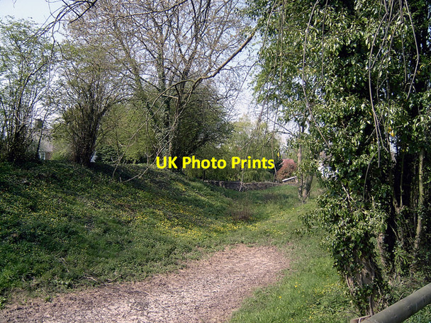 Photo 6"x4" Old Moat, Pembridge Lower Bearwood c2003