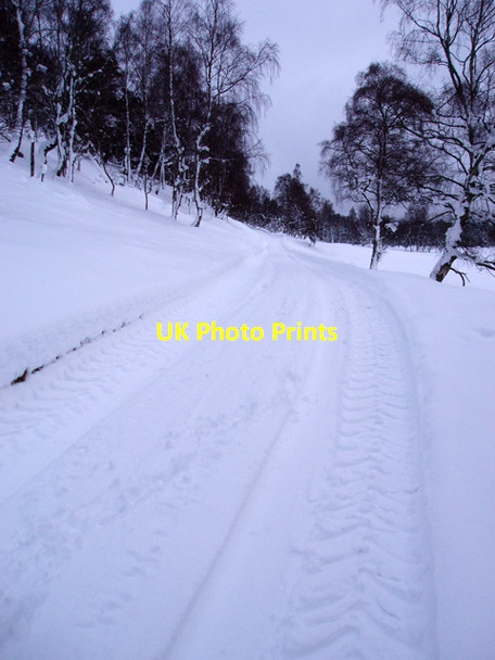 Photo 6"x4" Track to Lethendrychule Farm Ellan c2009