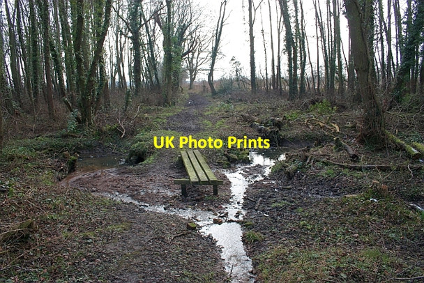 Photo 6"x4" Redundant footbridge, Lower Arles Wood Blackmore End\/SO8144 c2009