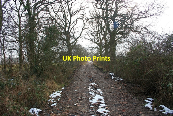 Photo 6"x4" Track to Common Farm Hanley Swan c2009