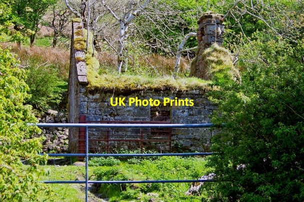Photo 6"x4" Gleniff Horseshoe Drive - Derelict Cottage Glencar c2008