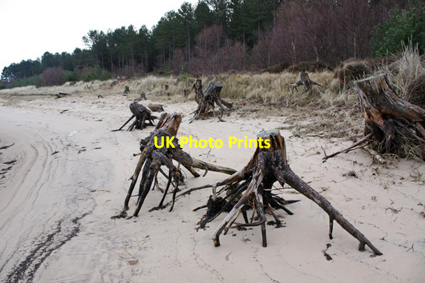 Photo 6"x4" Erosion, Findhorn Bay Findhorn c2009