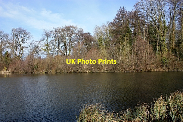 Photo 6"x4" Mill pond dam, Upper Arles Wood Poolbrook c2009