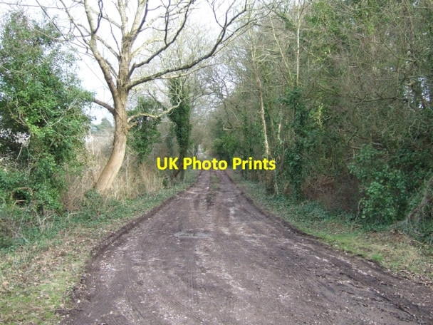 Photo 6"x4" Belvidere Road, Exeter Exeter c2009