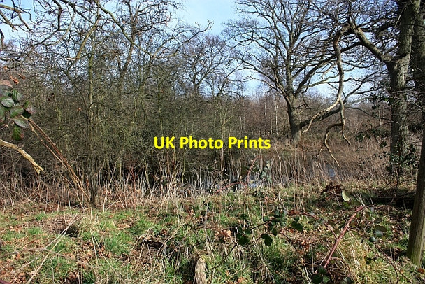 Photo 6"x4" Pond near Arles Wood Poolbrook c2009