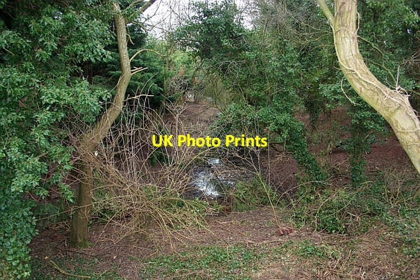 Photo 6"x4" The old canal, Staplow Staplow c2009