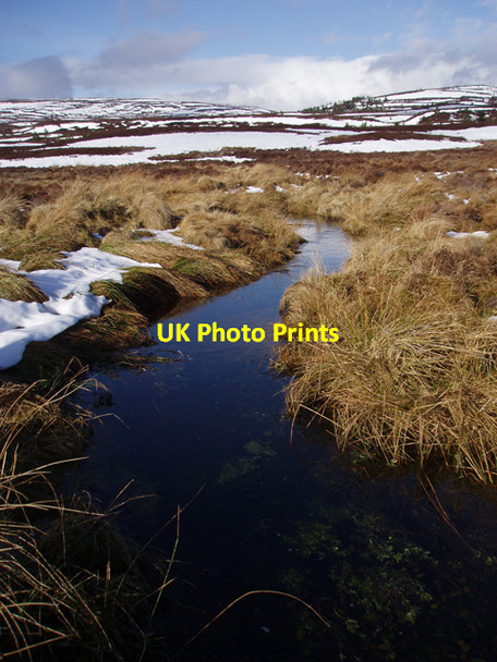 Photo 6"x4" Allt a'Ghuaill Duthil c2009