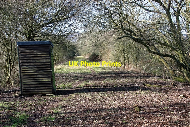 Photo 6"x4" Brotheridge Green Nature Reserve Gilver's Lane c2009